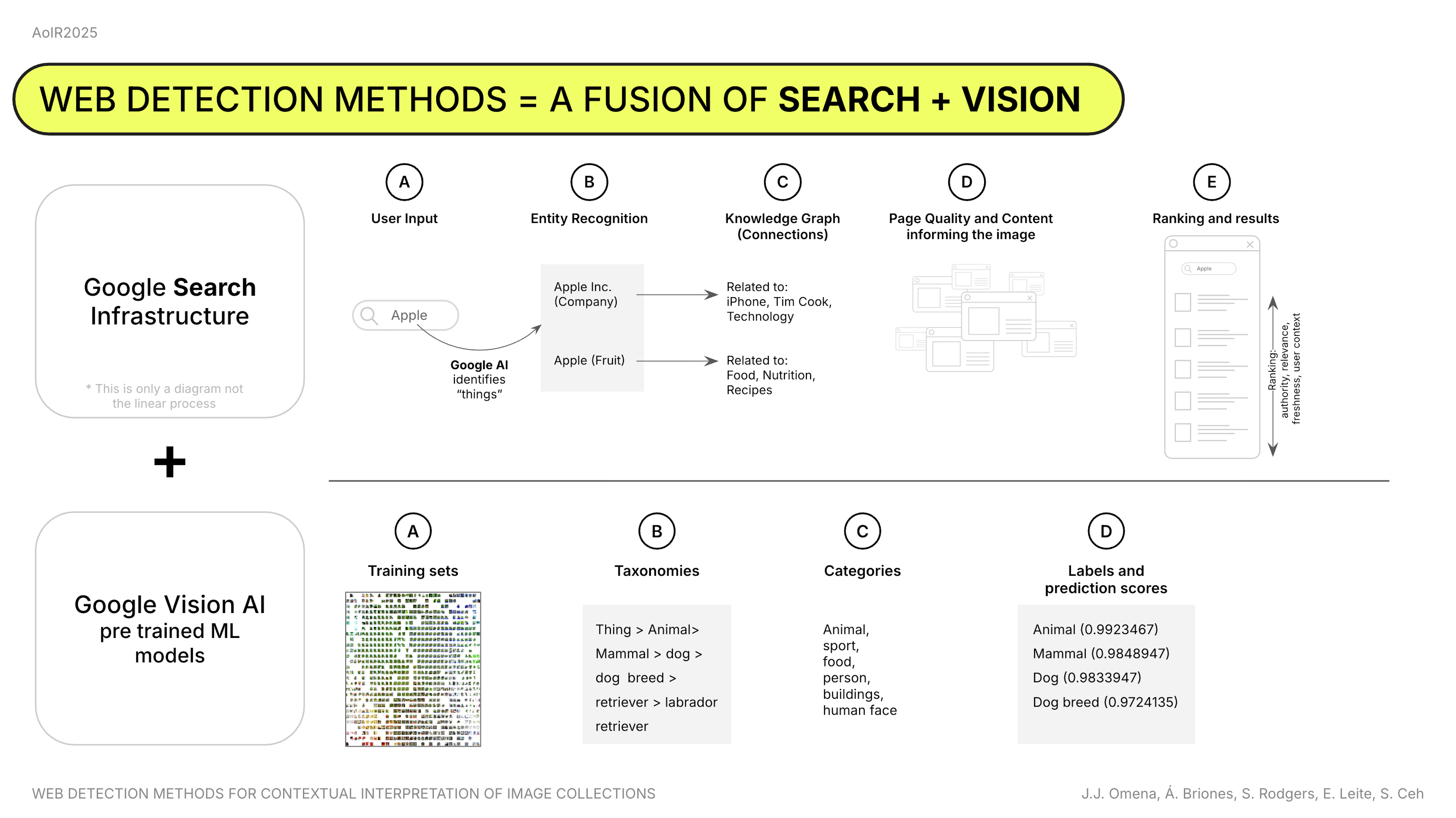 Web Detection in Image Analysis